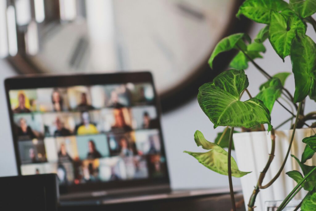 Laptop mit Online Meeting neben einer gruenen Pflanze symbolisch fuer ein online Gruppenseminar zum Thema Ernaehrung